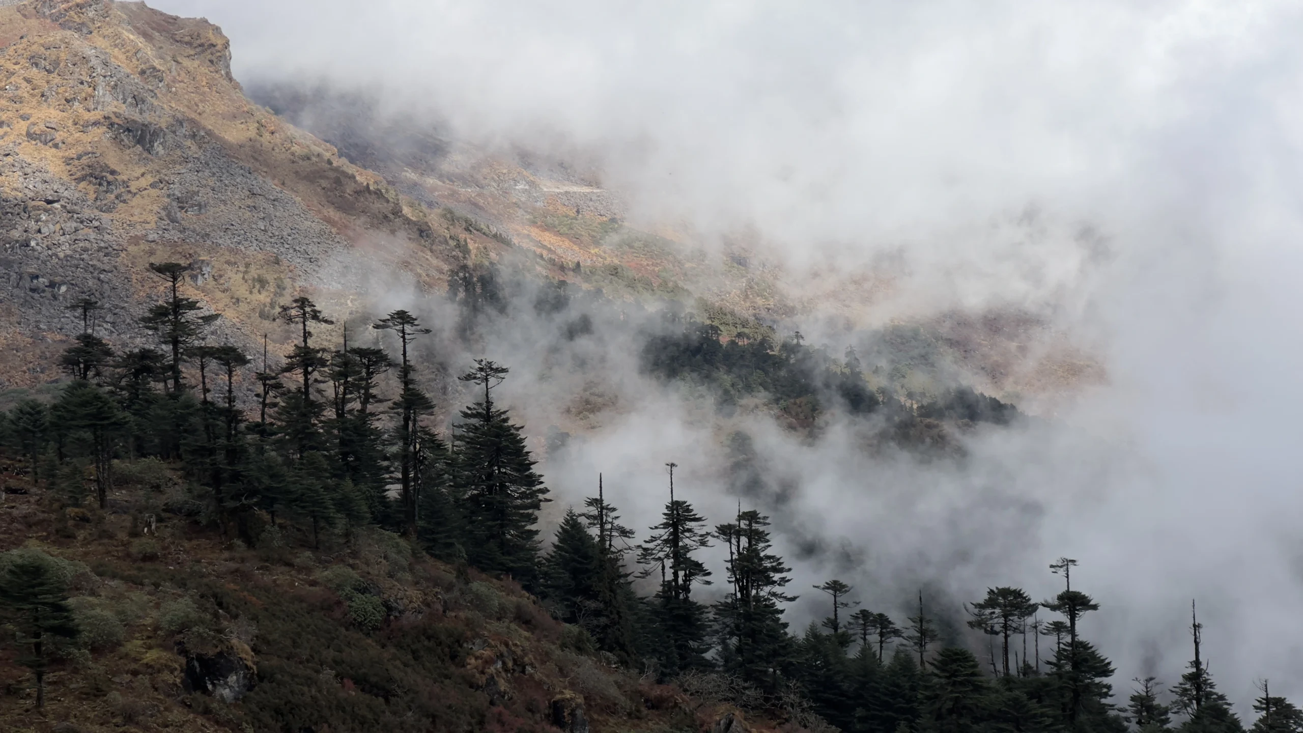 Arunachal Pradesh toouurs